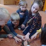 phoca_thumb_m_elva 14 Fotogalerie